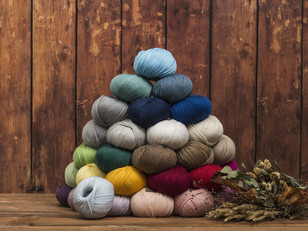 Willow & Lark Nest