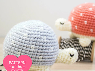 Sweetheart Turtles