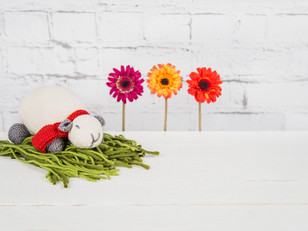 Milly The Sheep Toy in MillaMia Naturally Soft Merino